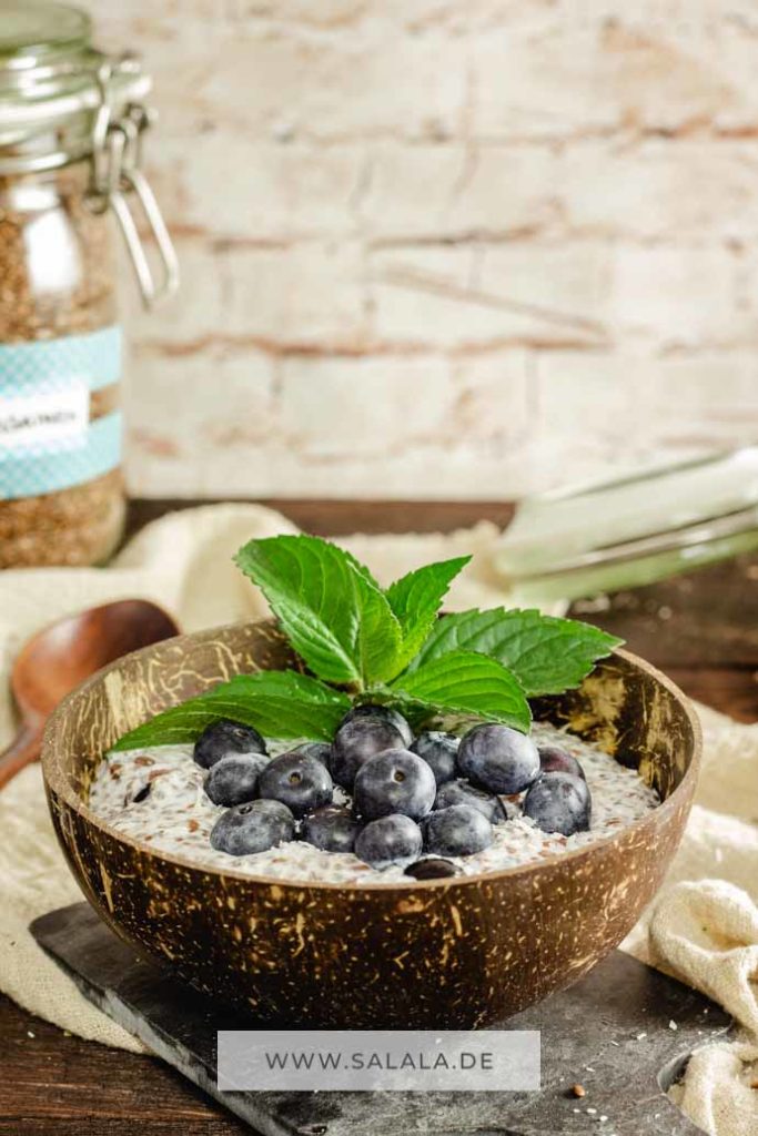 Porridge ist ja normalerweise High Carb pur, nicht aber wenn du das mit Leinsamen und Chia Samen machst. Schon mal probiert? In warm ist das als Frühstück total lecker. Unser Rezept kommt mit etwas Süße und Koksmilch aus und ist total Low Carb oder besser gesagt total Keto. #lowcarbfruehstueck #lowcarbporridge #leinsamenporridge #ketooatmeal #fruehstuecksbrei #ketofruehstueck